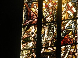 Engel in St. Stephani